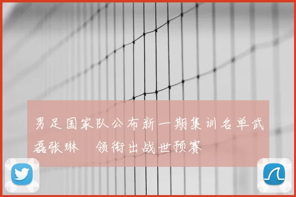 男足国家队公布新一期集训名单武磊张琳芃领衔出战世预赛