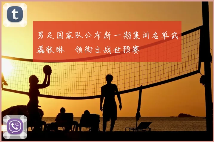 男足国家队公布新一期集训名单武磊张琳芃领衔出战世预赛
