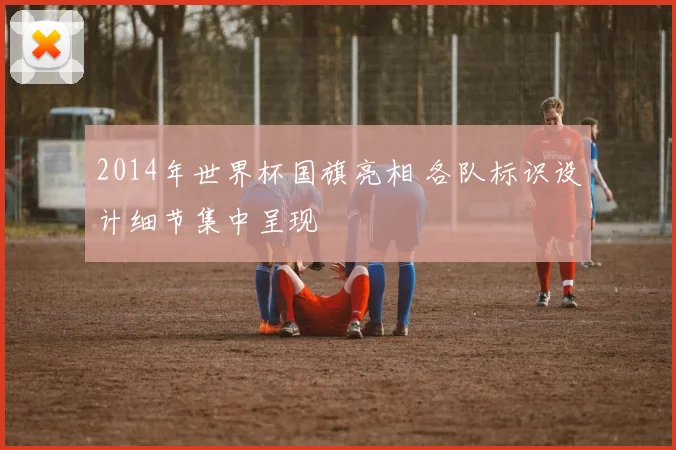 2014年世界杯国旗亮相 各队标识设计细节集中呈现