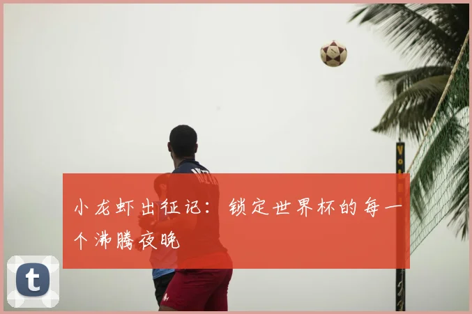 小龙虾出征记:锁定世界杯的每一个沸腾夜晚