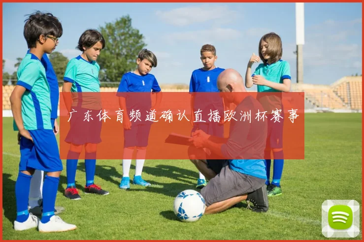 广东体育频道确认直播欧洲杯赛事
