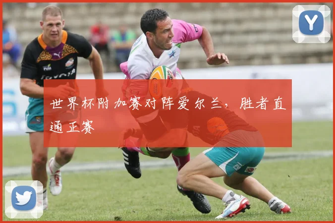 世界杯附加赛对阵爱尔兰，胜者直通正赛