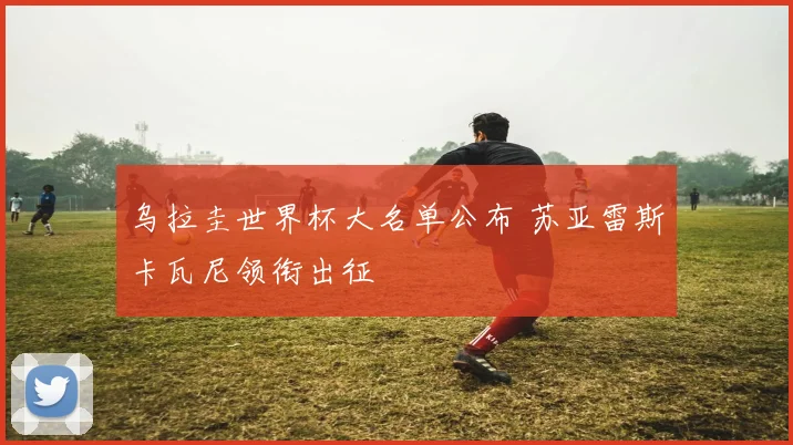 乌拉圭世界杯大名单公布 苏亚雷斯卡瓦尼领衔出征