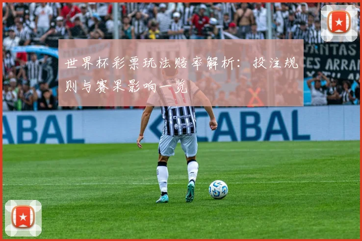 世界杯彩票玩法赔率解析：投注规则与赛果影响一览
