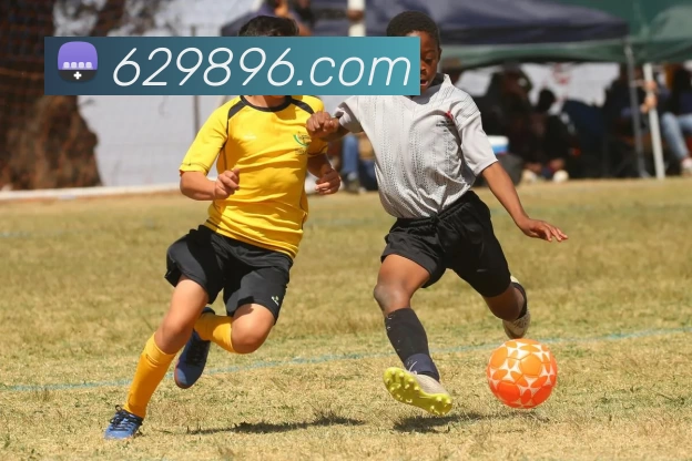 滚球买球的app官网APP 高清赛事图